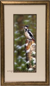Nigel Artingstall - Great Spotted Woodpecker