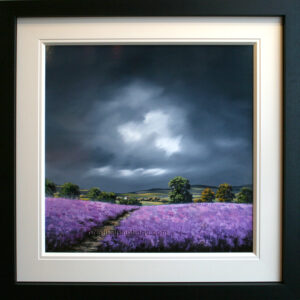 Allan Morgan - Beautiful Light over Purple Fields