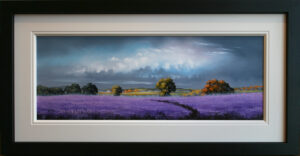 Allan Morgan - Dramatic Sky over Lavender Fields