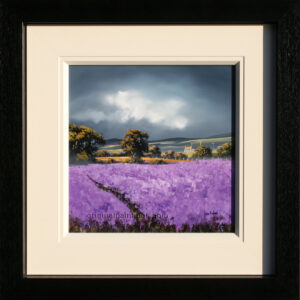 Allan Morgan - Fields of Lavender