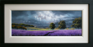Allan Morgan - Iridescent Sky over Lavender Fields