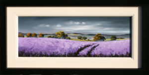Allan Morgan - Lavender Fields I