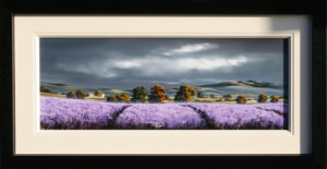 Allan Morgan - Lavender Fields II