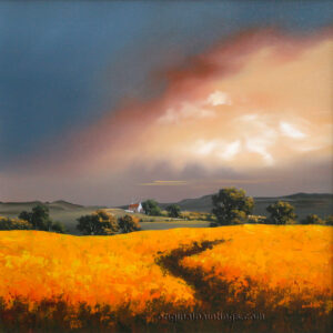 Allan Morgan - Sunset over Golden Fields