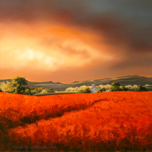 Allan Morgan - Sunset Over Scarlet Fields