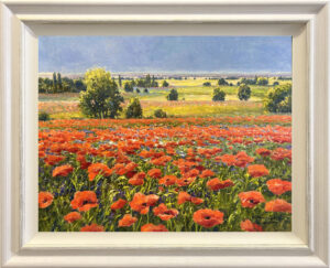 Gerhard Nesvadba - Beautiful Summer Poppies