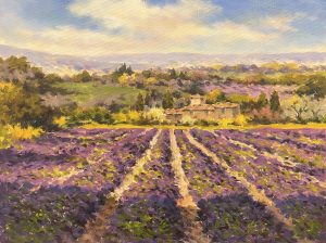 Paolo Bigazzi - Lavender Field, St Paul de Vence, Provence